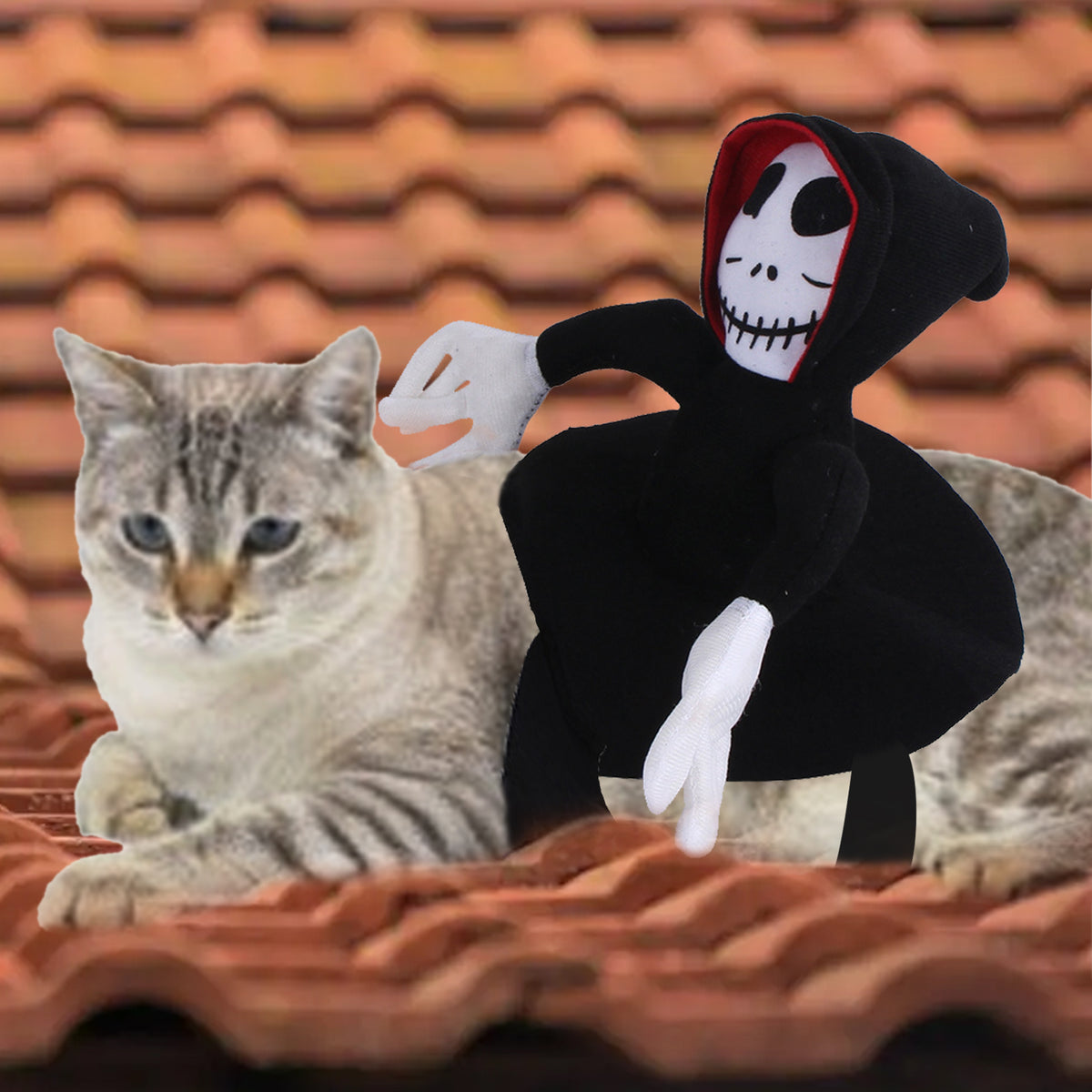 Pet skeleton rider Halloween costume – view 2