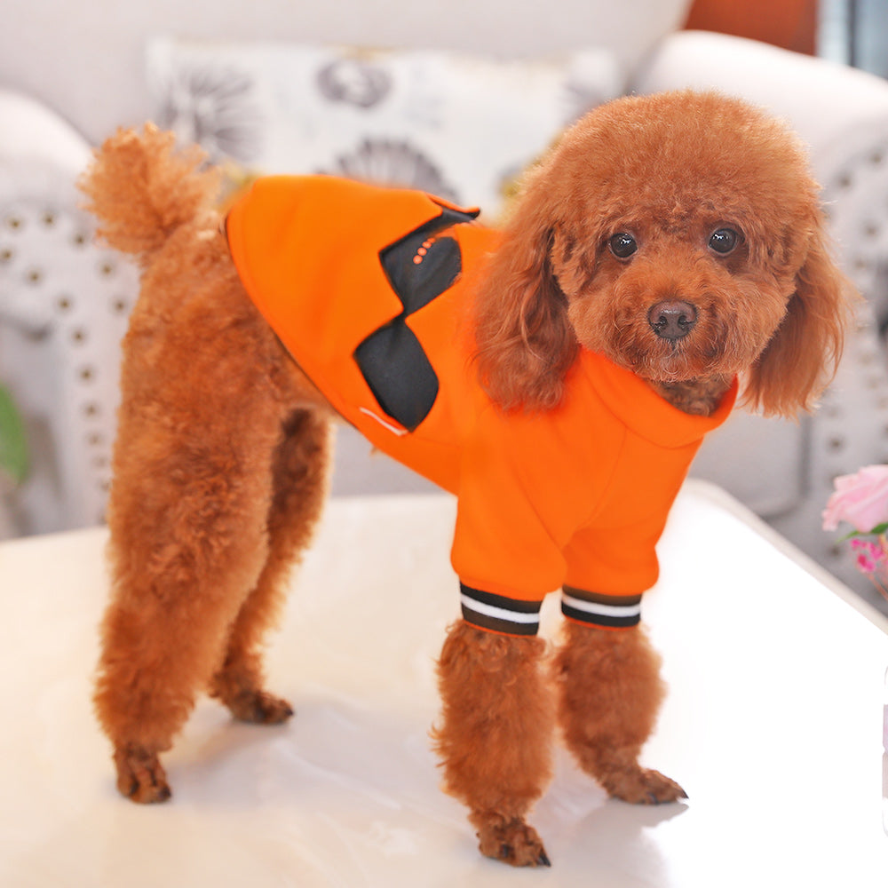 Dog Pumpkin Halloween Costume – view 2