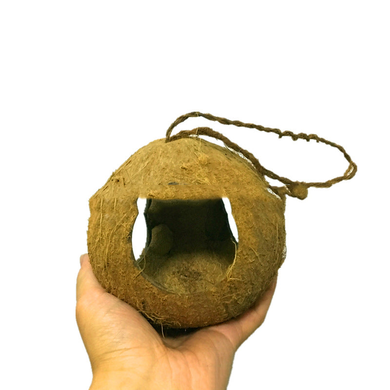 Natural coconut shell bird feeder hanging outdoors