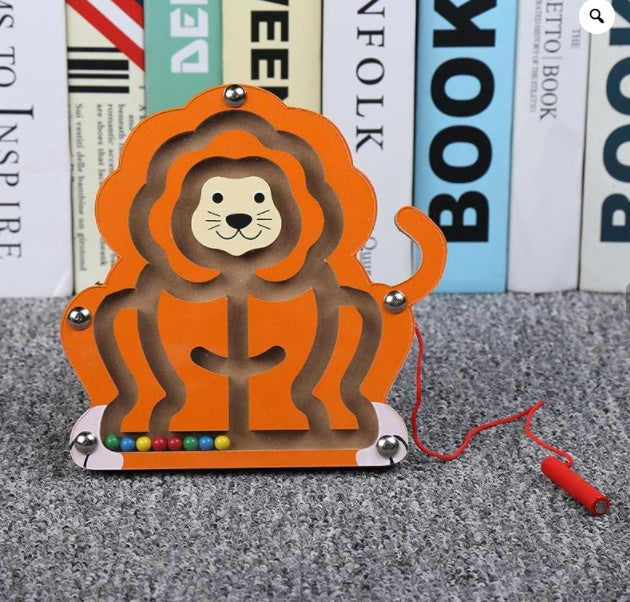 Magnetic Maze Puzzle