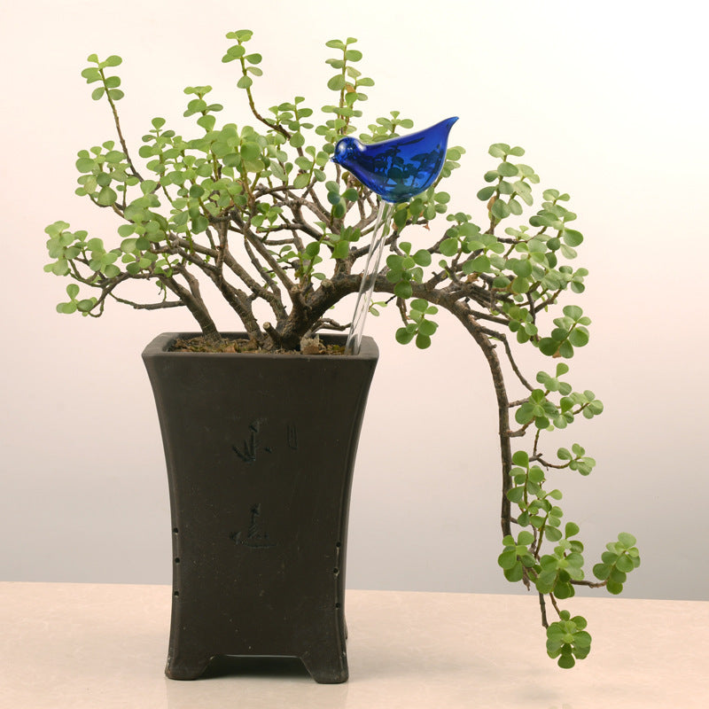 Glass Self-Watering Plant Globes 8 – blue
