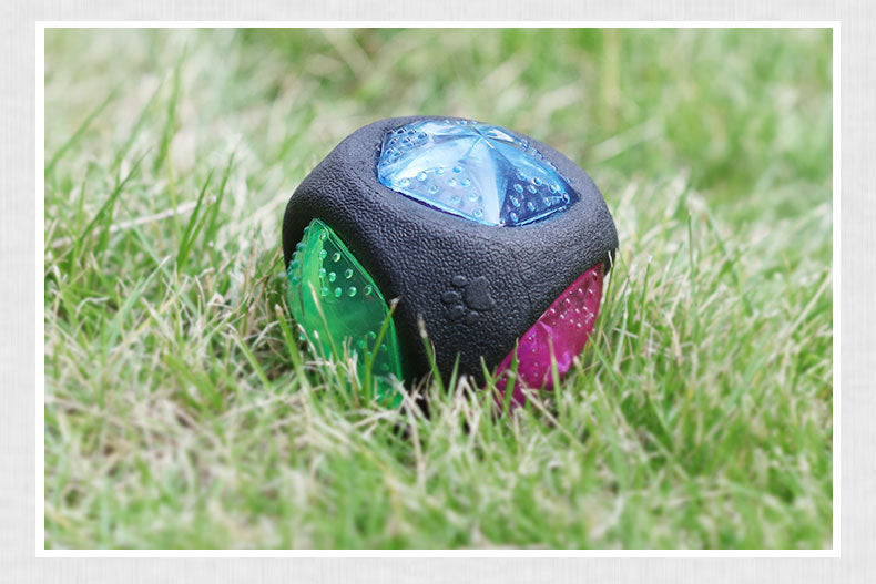 Light-up dog ball on grass