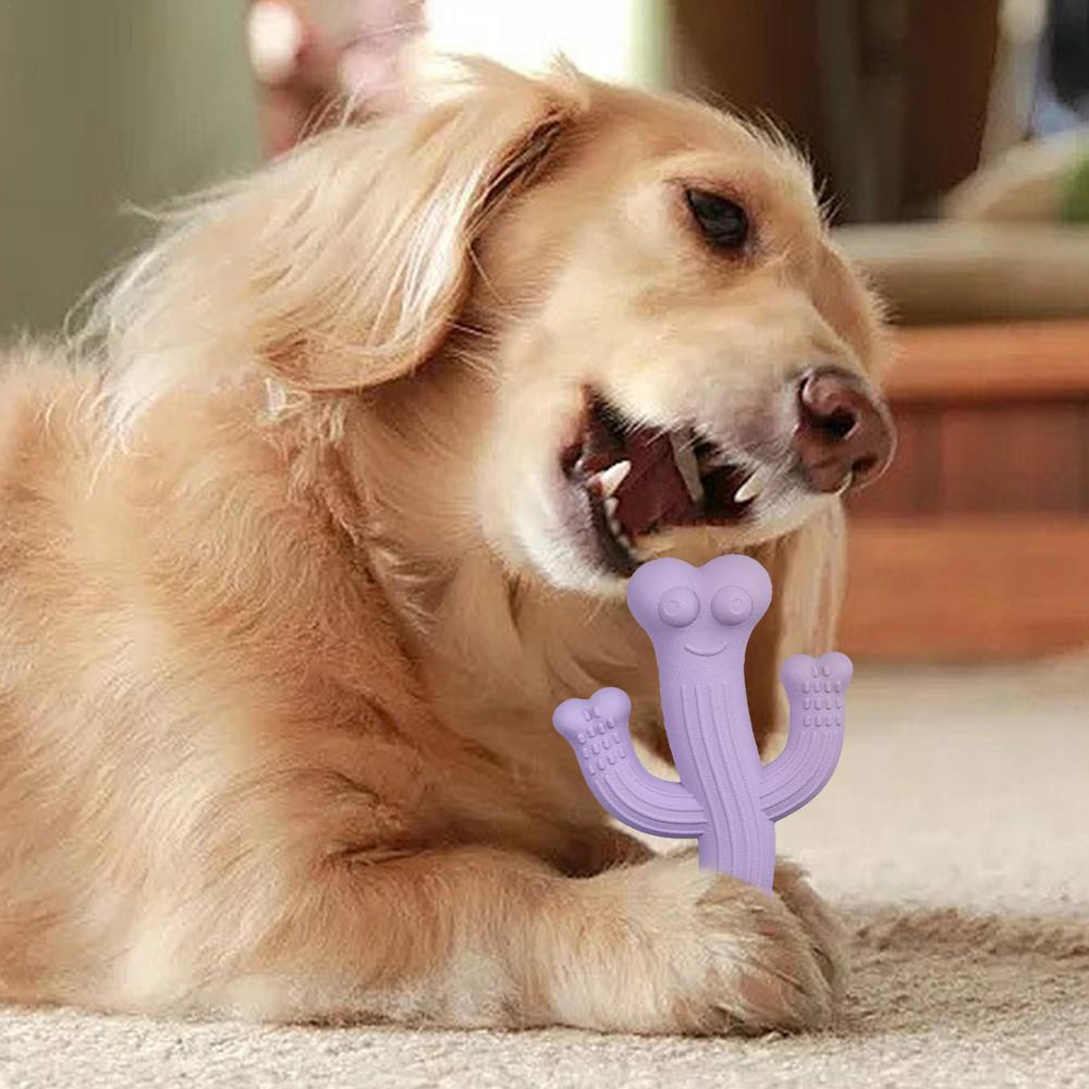 Dog chewing the purple cactus toy