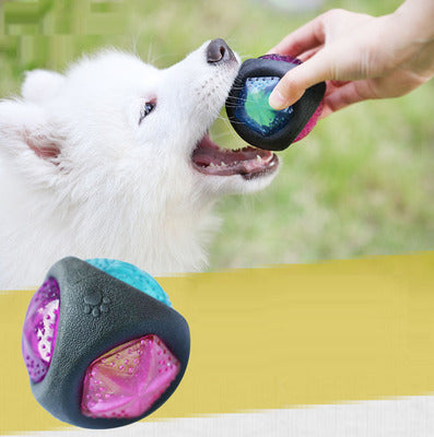 White dog playing with a light-up rubber ball