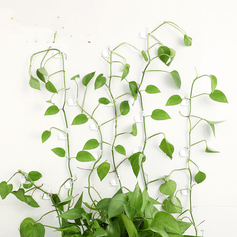 Snail Plant Climbing Wall Clips (10 Pack) 7