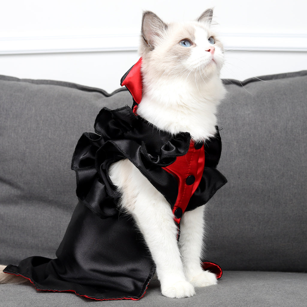 Cat vampire Halloween costume – view 2