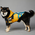 Dog wearing waterproof raincoat jacket outdoors