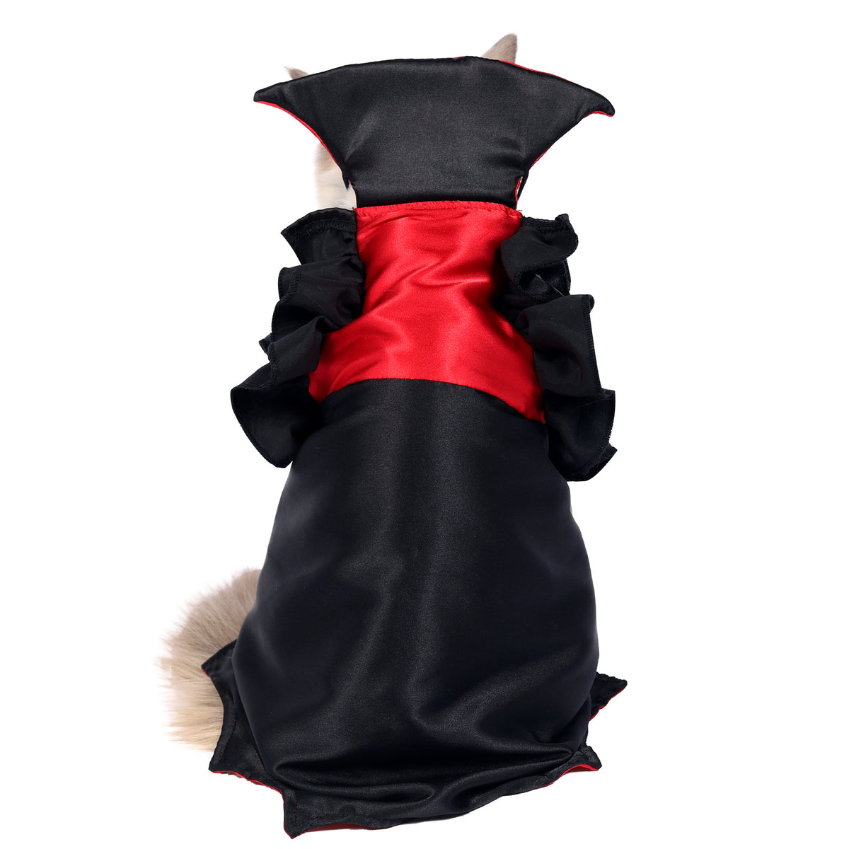 Cat vampire Halloween costume – view 3