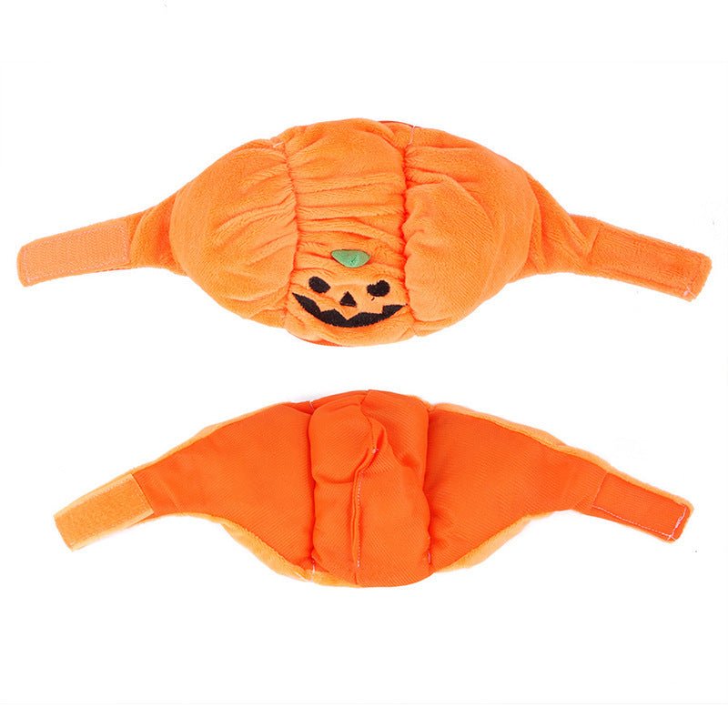 Plush pumpkin Halloween hat for pets – view 5