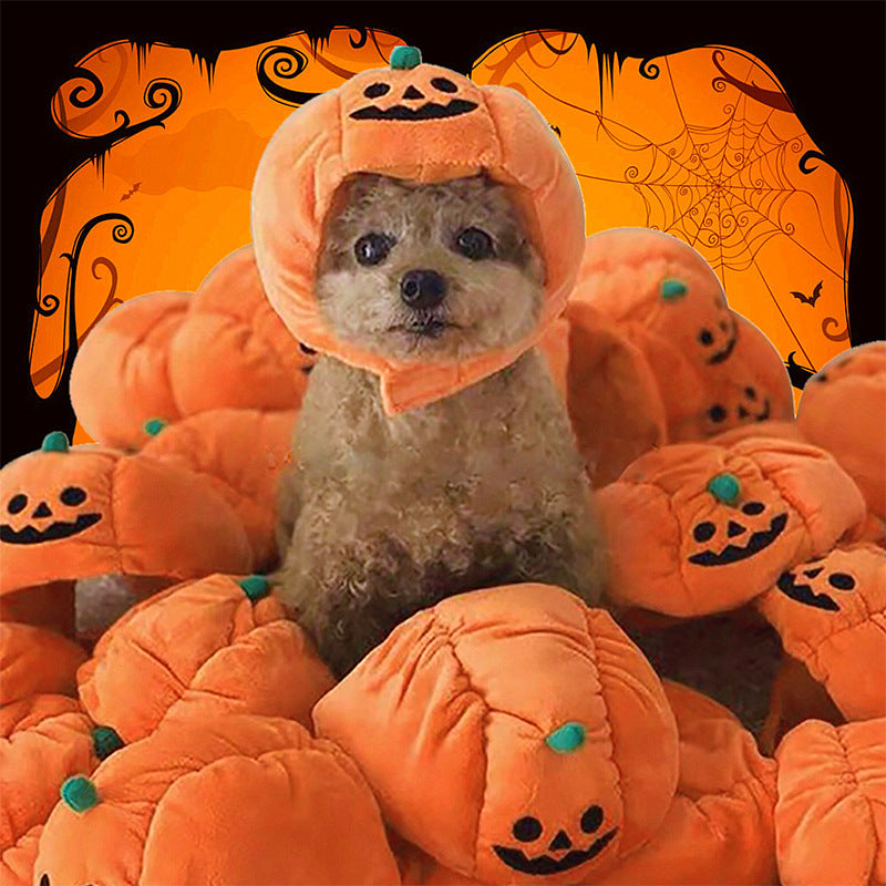 Plush pumpkin Halloween hat for pets – view 2