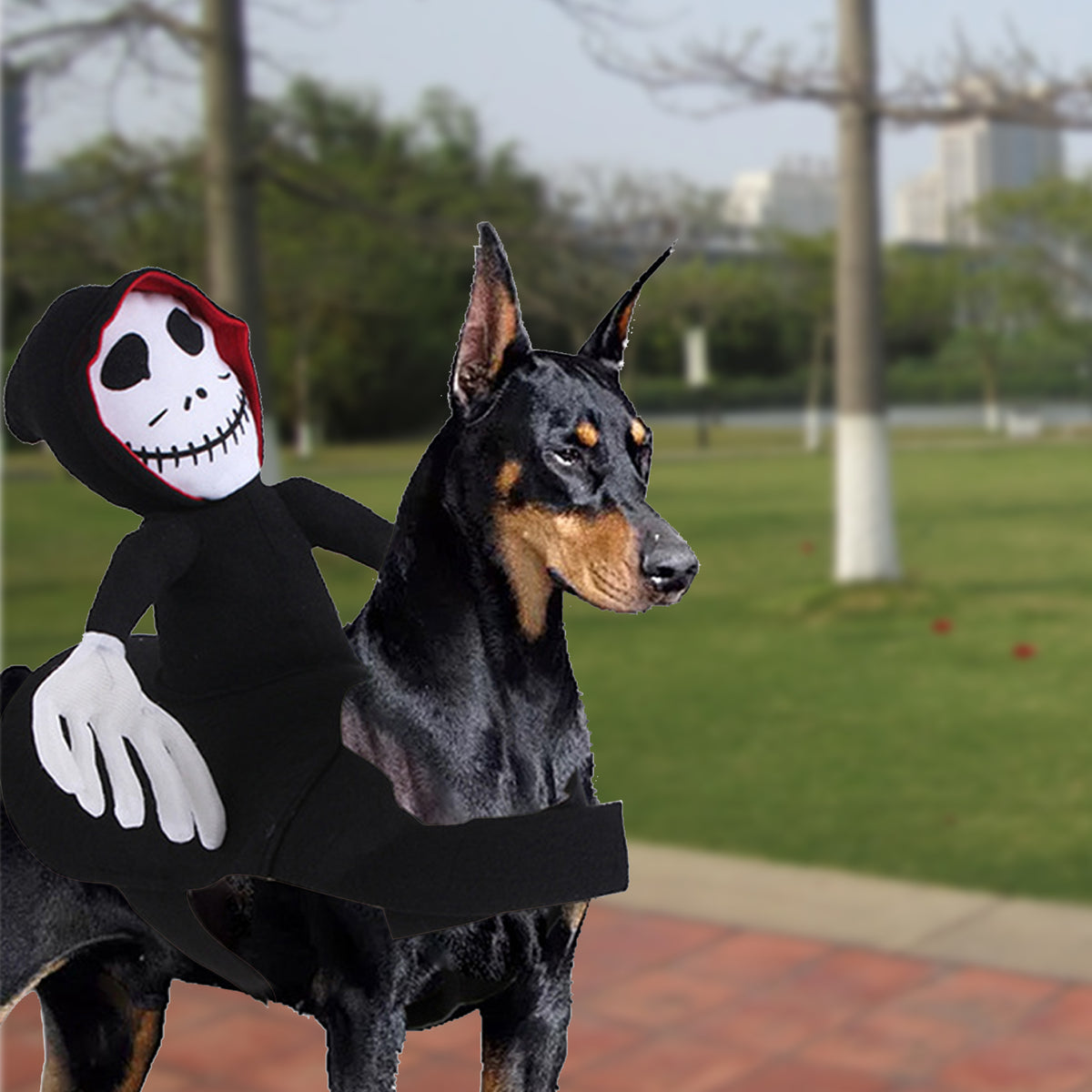 Pet skeleton rider Halloween costume – view 1