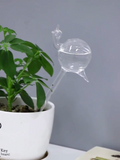 Glass Self-Watering Plant Globes 1