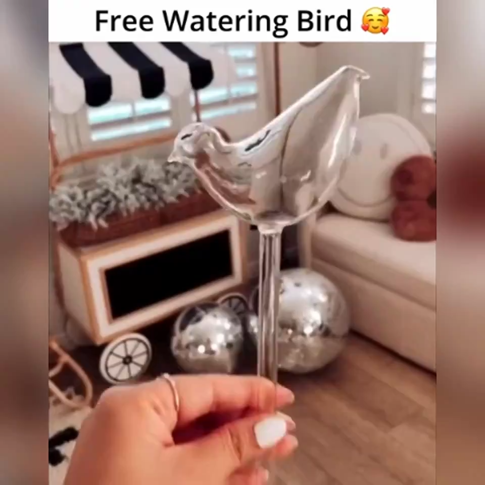 Glass Self-Watering Plant Globes 5